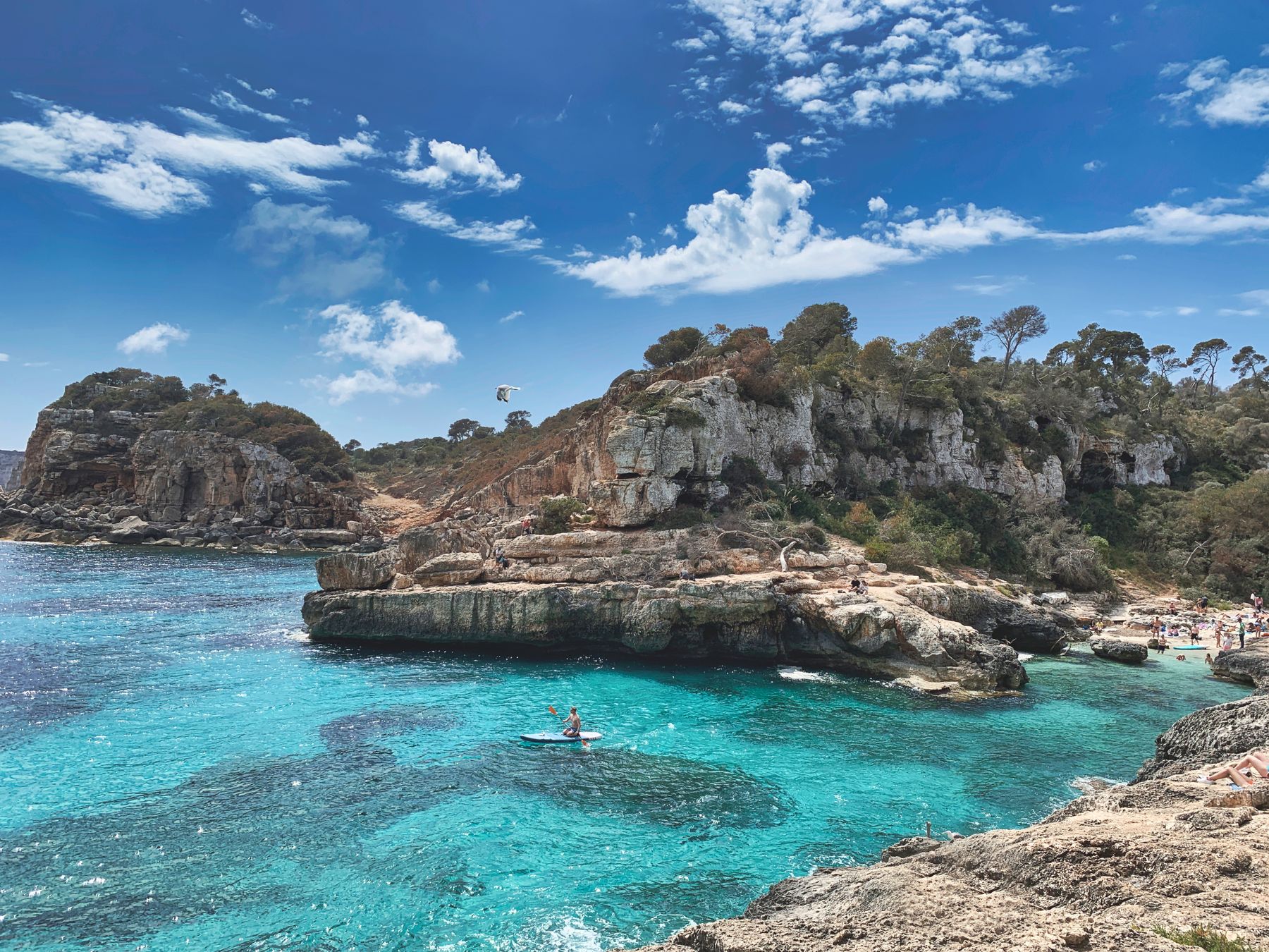 A sunlit cove with clear water and a rocky coastline